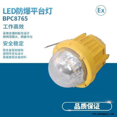 海洋王 BPC8765led防爆投光灯室内外油罐区平台灯