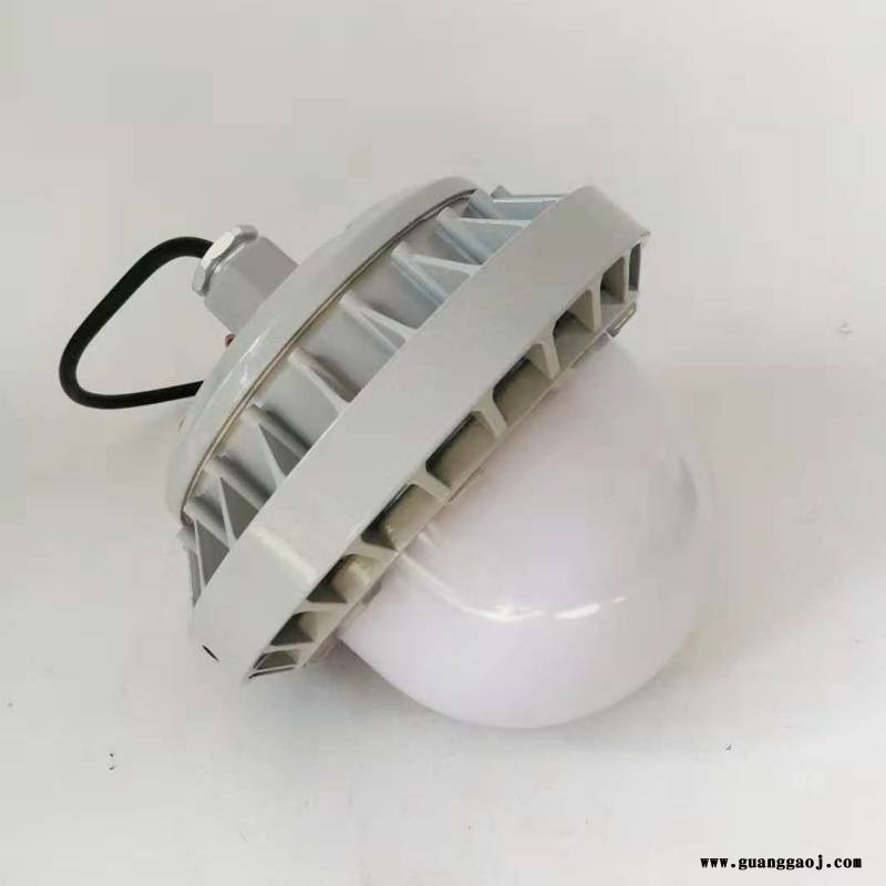 SZSW7140 SW7130 40W 70W 100W 工作灯 平台泛光灯 LED投光灯图2