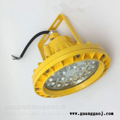 GCD613防爆固态照明灯20W圆形LED防爆泛光灯30W液化站吸顶灯36V免维护应急照明灯厂家图1
