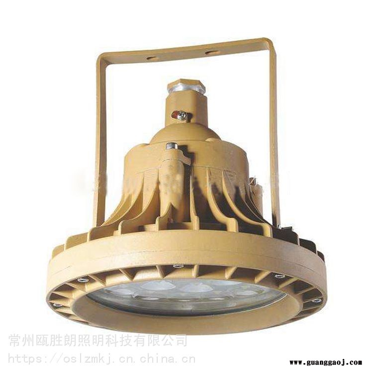 GCD613防爆固态照明灯20W圆形LED防爆泛光灯30W液化站吸顶灯36V免维护应急照明灯厂家图3