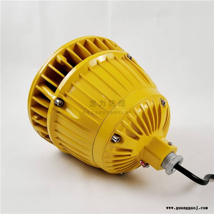 工业照明LED防爆灯 煤矿220V电压免维护防爆泛光灯40W60W图2