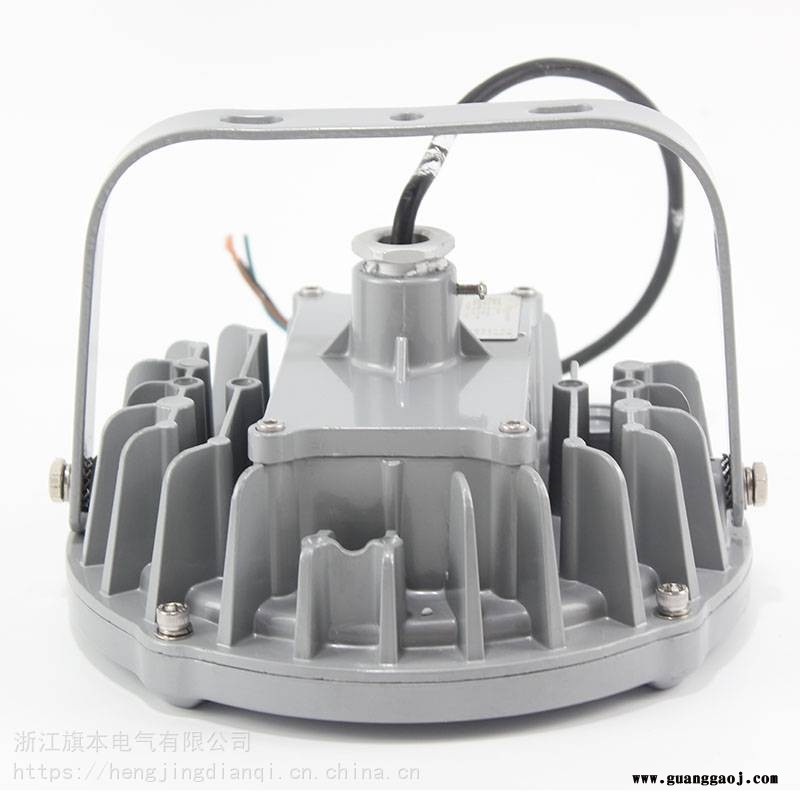 LED泛光灯FW6580工作灯户外户内照明灯图2