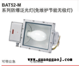 金顿直销BAT52-M系列防爆LED泛光灯（免维护节能无极灯）图2