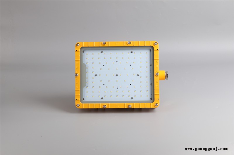 BFC8115A  LED防爆泛光灯  LED免维护防爆投光灯图2