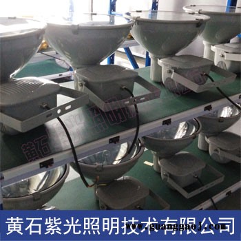 紫光GT9401_GT9401金卤防震250-400W投光灯图2