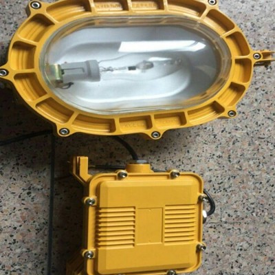 海洋王BFC8120内场强光防爆泛光灯耐高温化工厂仓库车间隔爆灯