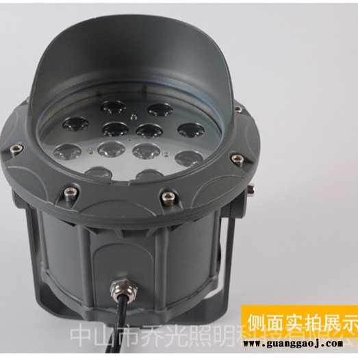 乔光照明供应QG-TG170-LED鸟巢照树造型灯园林绿化射树LED投光灯图1