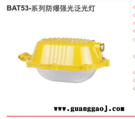 金顿直销BAT53-系列防爆强光泛光灯图2