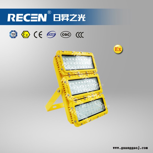 日昇之光 1000W LED防爆泛光灯 支架式 防爆场所使用图5