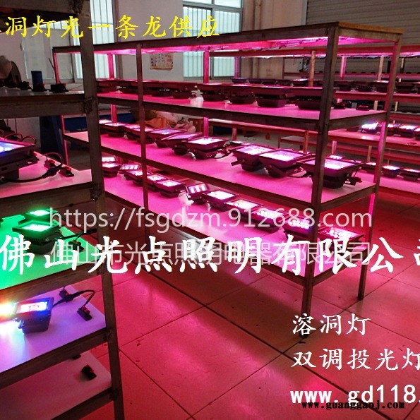 LED溶洞灯 溶洞射灯 双调溶洞投光灯 光点照明专业溶洞灯光十年以上经验 我左找右寻还是这家溶洞灯稳妥靠谱 价格还公道图1
