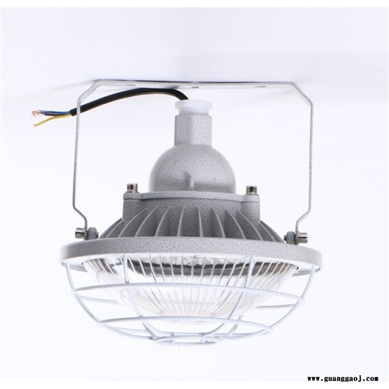 led防爆灯加油站LED220V24V防爆投光灯厂房应急防水防尘200W12V泛光灯100瓦图2
