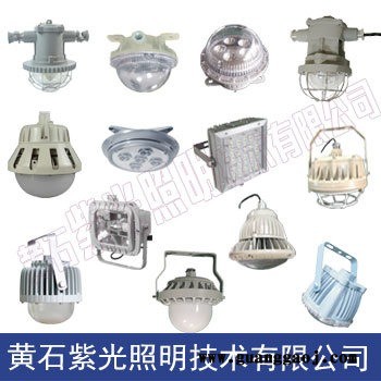 紫光GF9050泛光灯-GF9050-GF9050-48W工厂灯图1
