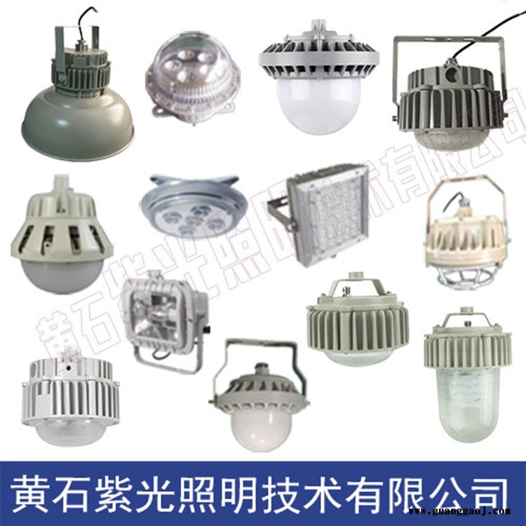 紫光GF9050泛光灯-GF9050-GF9050-48W工厂灯图2