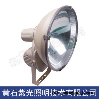 GF9051-投光灯GF9030-GT9401紫光照明图1