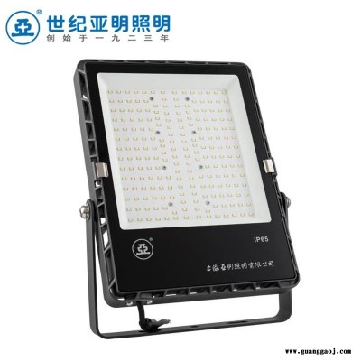 上海亚明FG65A泛光灯200W户外球场灯