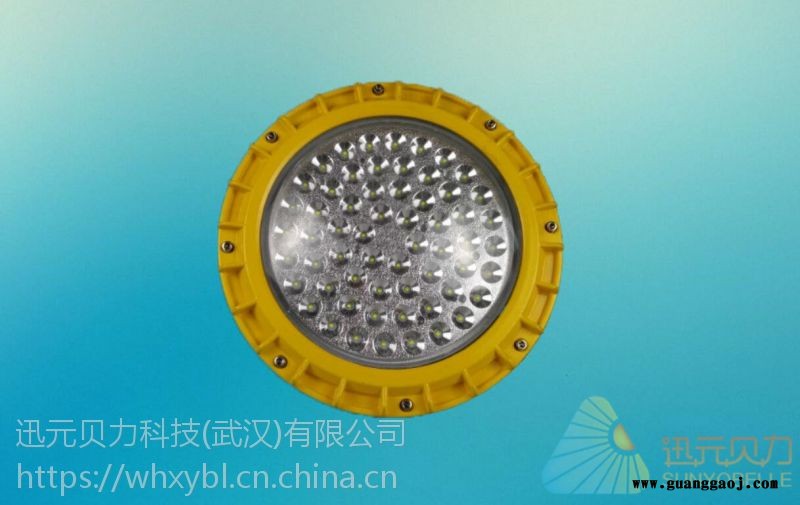武汉市LED防爆灯LED固态免维护泛光灯图2