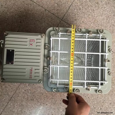 专业制造 BAT53--L70系列防爆泛光灯，浙江乐清天网防爆厂家6.5折供应