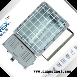 专业制造 BAT53--L70系列防爆泛光灯，浙江乐清天网防爆厂家6.5折供应图5