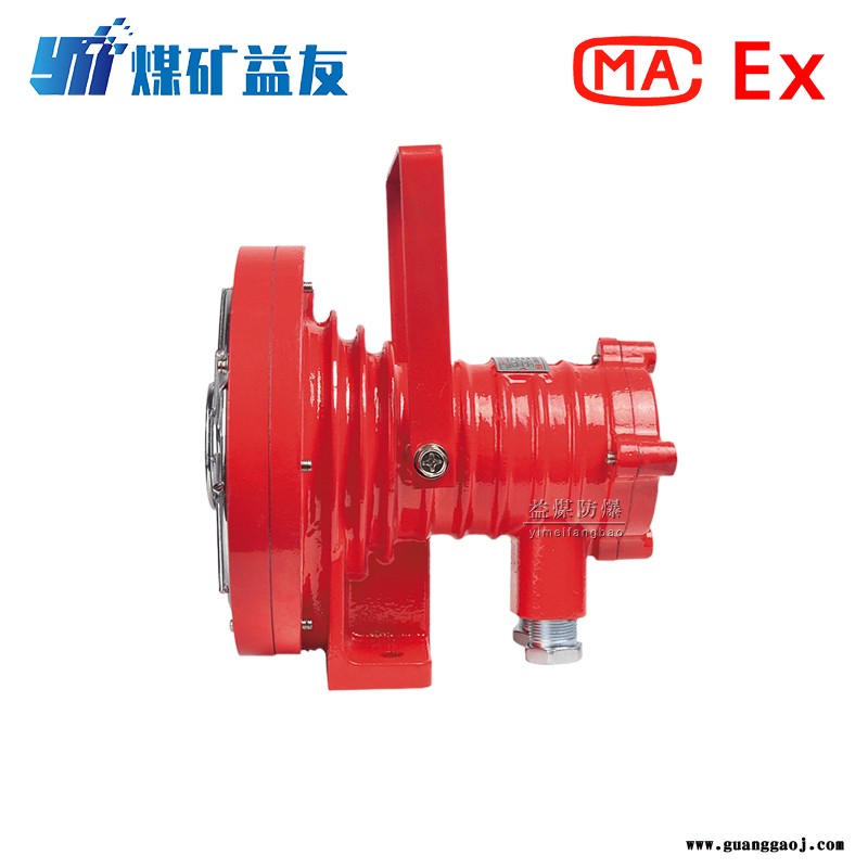 益煤销售 DGS24/127L（A）矿用隔爆型LED投光灯  钢精铸成型图2