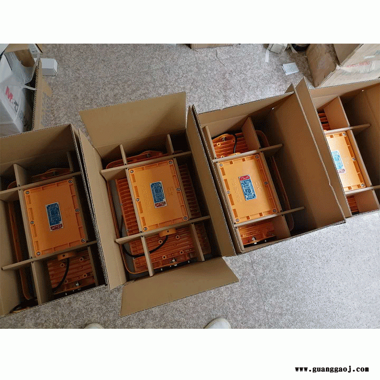 CCd97防爆节能LED照明灯 雷诺制造CCD97-LED防爆泛光灯 -LED防水防爆投光灯 -LED防水防爆马路灯图2
