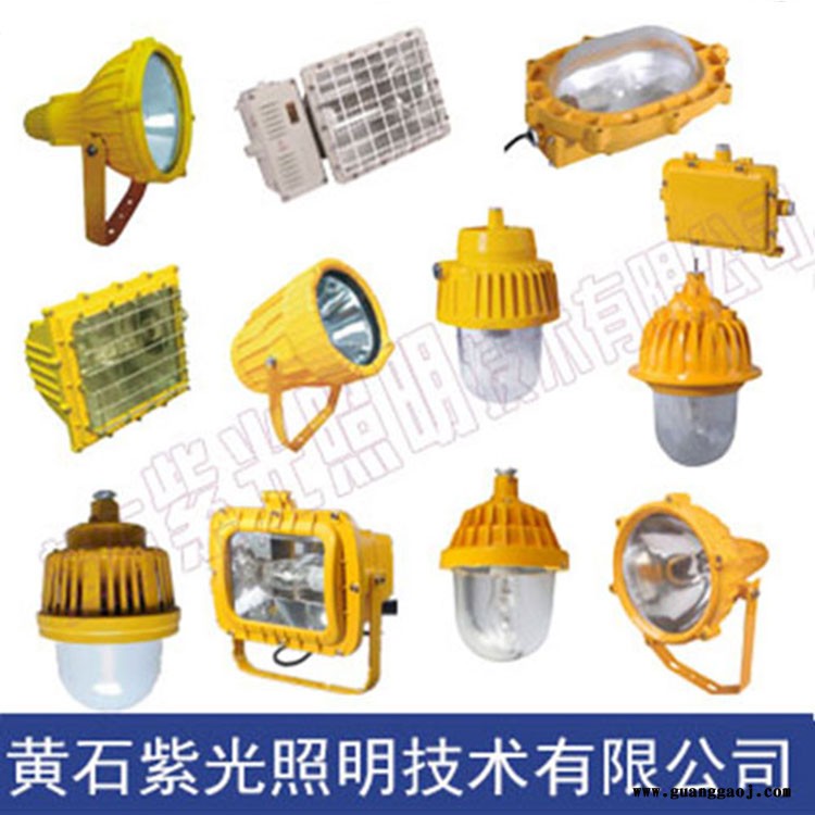 GB8150-GB8153投光灯/GB8050防爆灯/GB8150图2