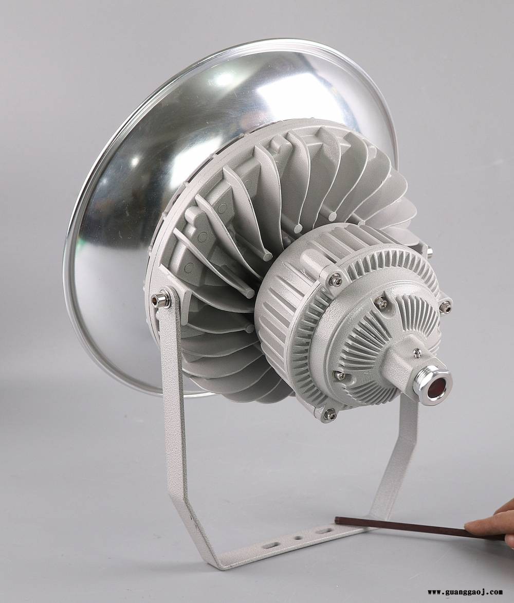 SZSW8210防爆泛光灯 SZSW8210-100W尚为型LED工作灯图2