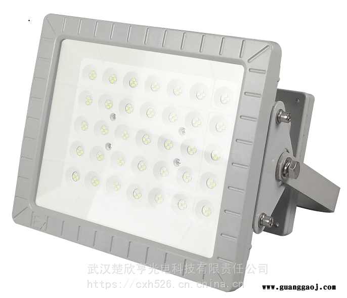面粉厂LED防爆灯70W100WLED防爆投光灯LED防爆荧光灯图1