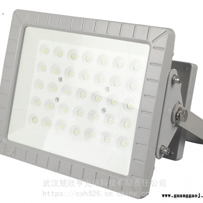 面粉厂LED防爆灯70W100WLED防爆投光灯LED防爆荧光灯