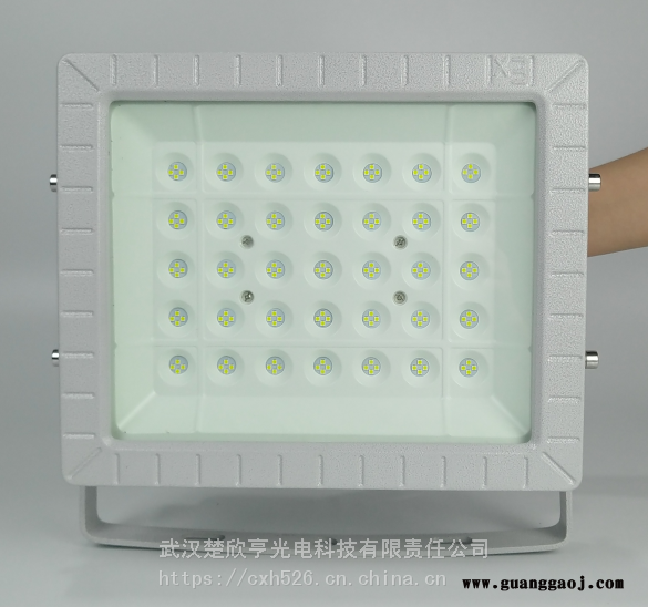 面粉厂LED防爆灯70W100WLED防爆投光灯LED防爆荧光灯图2