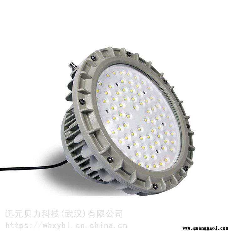 RLEEXL5016-200W防爆泛光灯图1