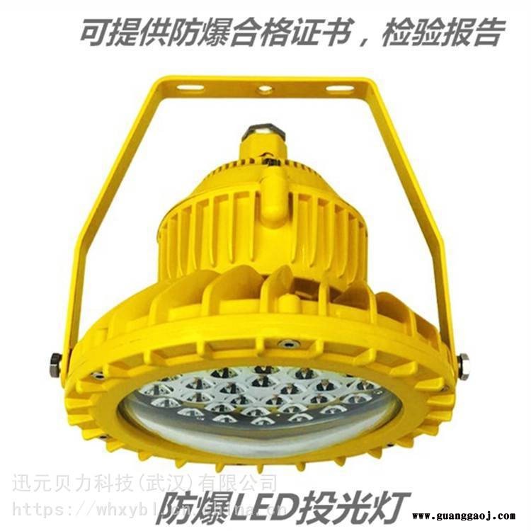 RLEEXL5016-200W防爆泛光灯图3