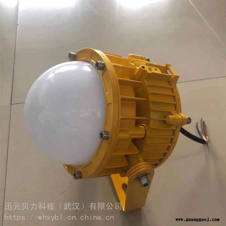 BPC876防爆支架式防爆灯-BPC8766防爆支架式应急灯-BPC8766防爆支架式泛光灯图1