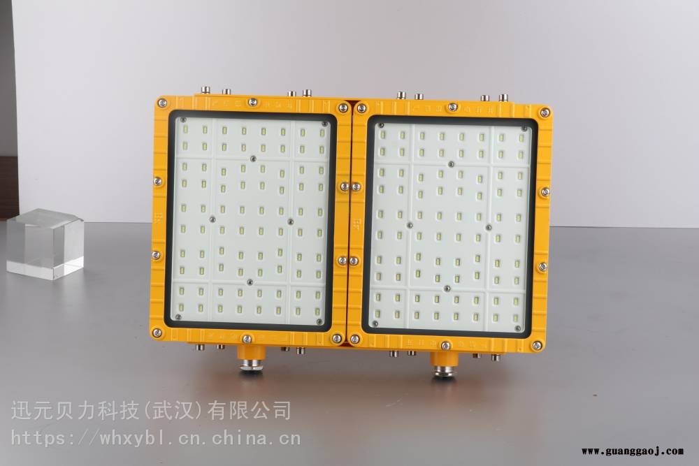 RLEFL319，RLEFL319油轮照明支架式防爆泛光灯RLEFL319图2