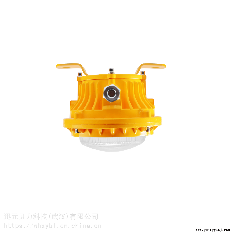 BFC8183码头小功率防爆泛光灯-BFC8183防爆防水船舶工程照明灯图2