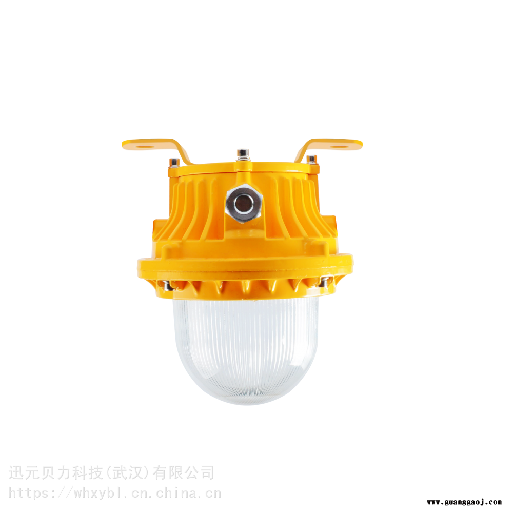 BFC8183码头小功率防爆泛光灯-BFC8183防爆防水船舶工程照明灯图3