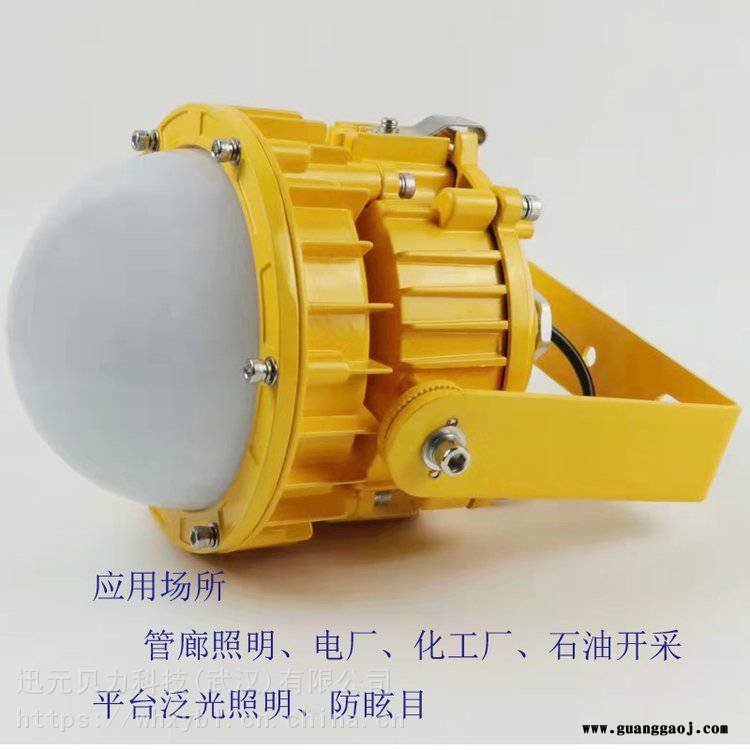BPC8767防爆泛光灯BPC8767-BPC8767防爆平台灯图3
