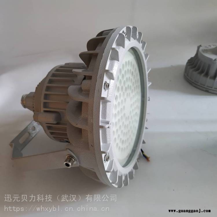 ZD130-100W护栏式防爆泛光灯-BZD130-120W法兰式节能防爆 照明灯图3