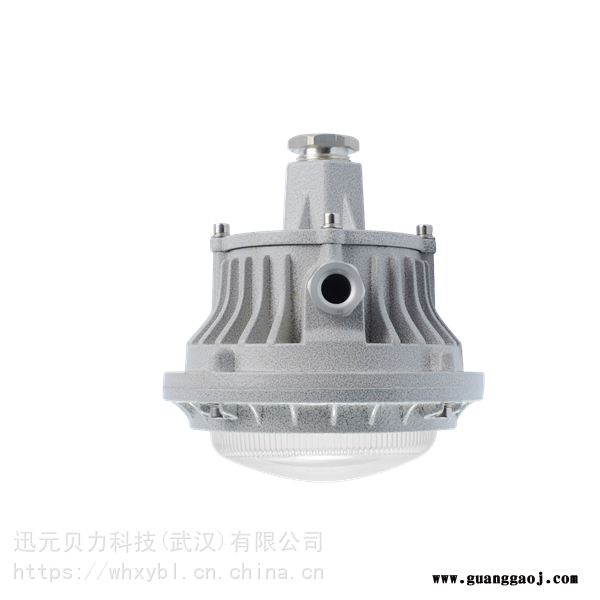 BFC876防爆泛光灯50W抗腐蚀防爆灯BFC8767LED防爆投光灯80W图3