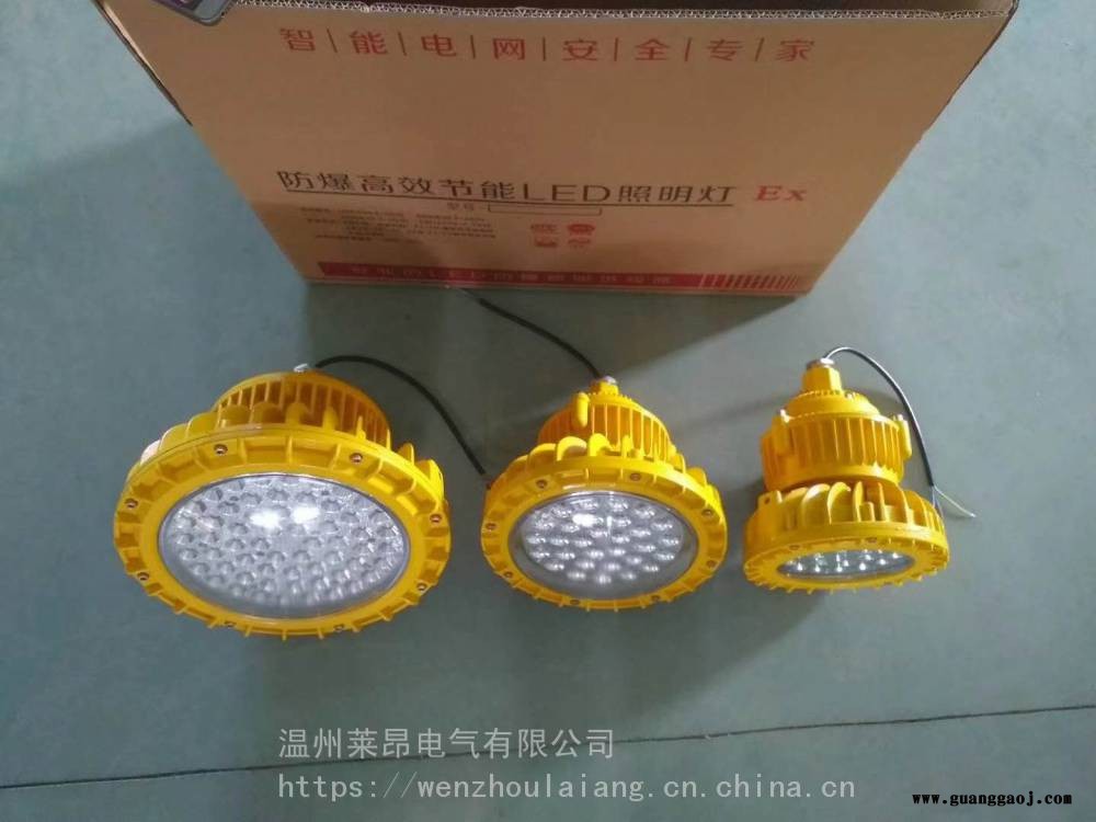 BPC8126BPC8126-70WBPC8126LED防爆泛光灯图2