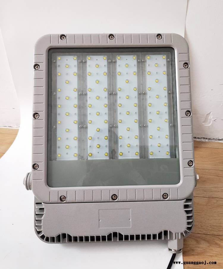RLEEXL5330-XL120A4 LED防爆投光灯 RLEEXL5330-XL200A1
