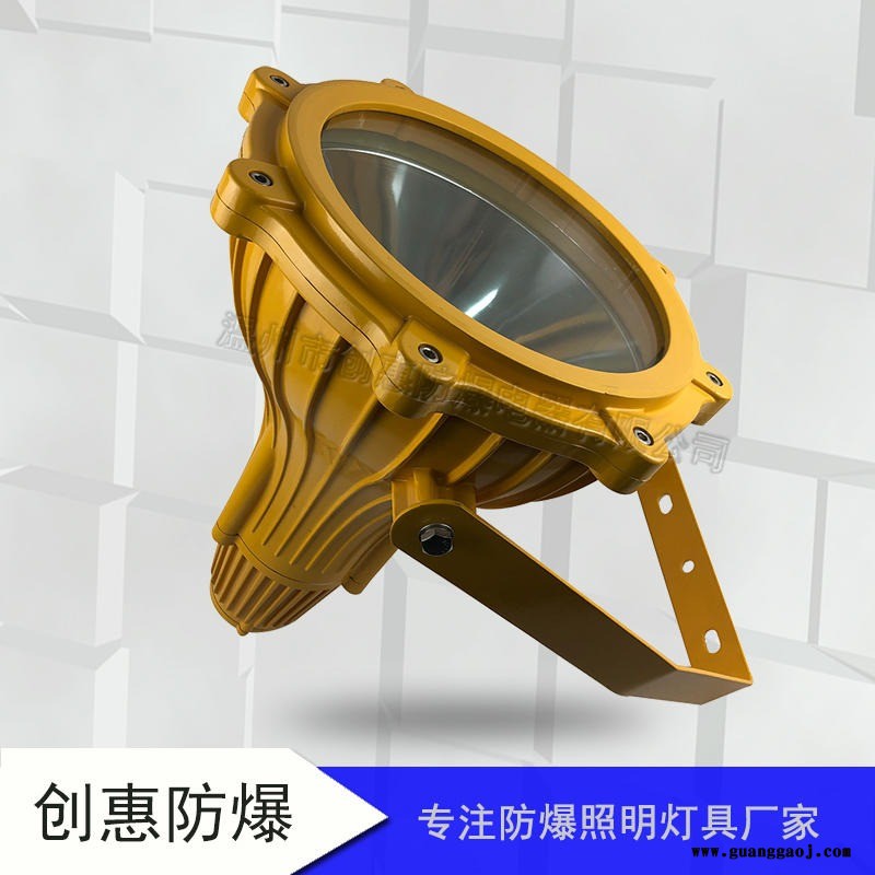 高龙BTC8210防爆投光灯250W400W放水防爆图2