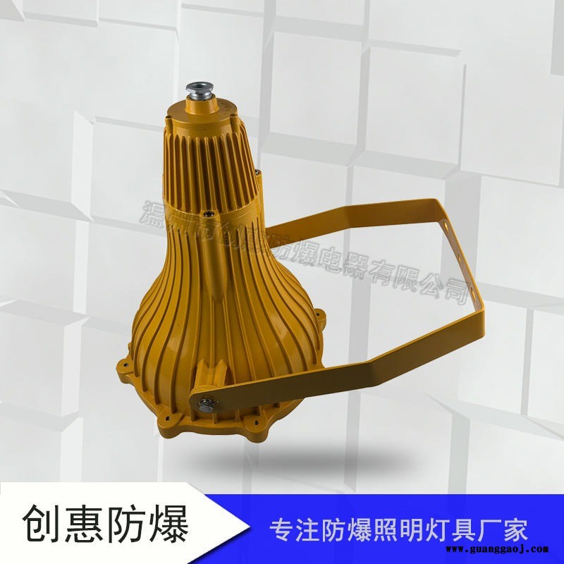 高龙BTC8210防爆投光灯250W400W放水防爆图3