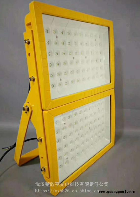 酒厂LED防爆灯200W150WLED防爆投光灯100WLED防爆灯图2