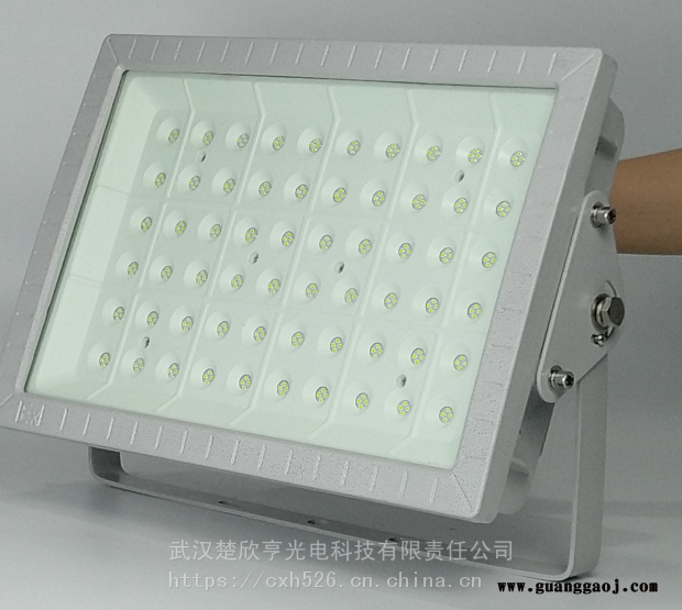 酒厂LED防爆灯200W150WLED防爆投光灯100WLED防爆灯图1