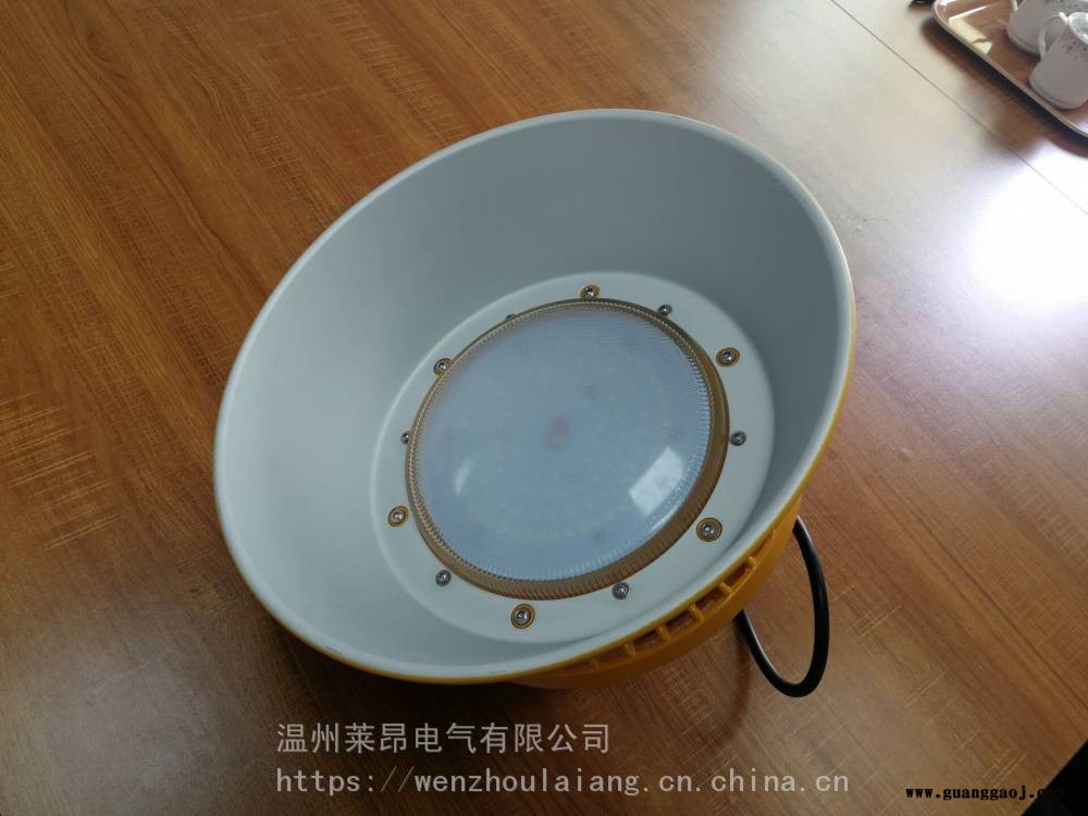 LED免维护节能灯防爆投光灯FGV1236图2