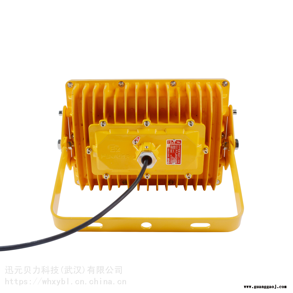 LY8901-50W防爆投光灯-LY8901-100W防爆泛光灯-LY8901-100W防爆应急灯图2