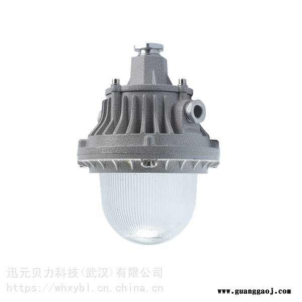 BAL98-200W厂房窗口防爆泛光灯支架式图3