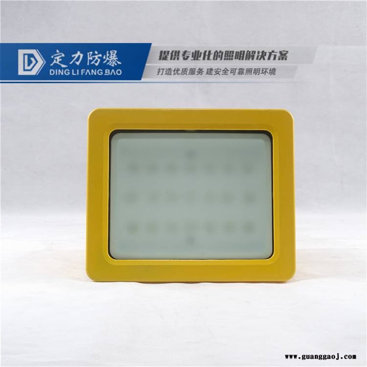 石油化工 LED防爆投光灯200W 品牌图2