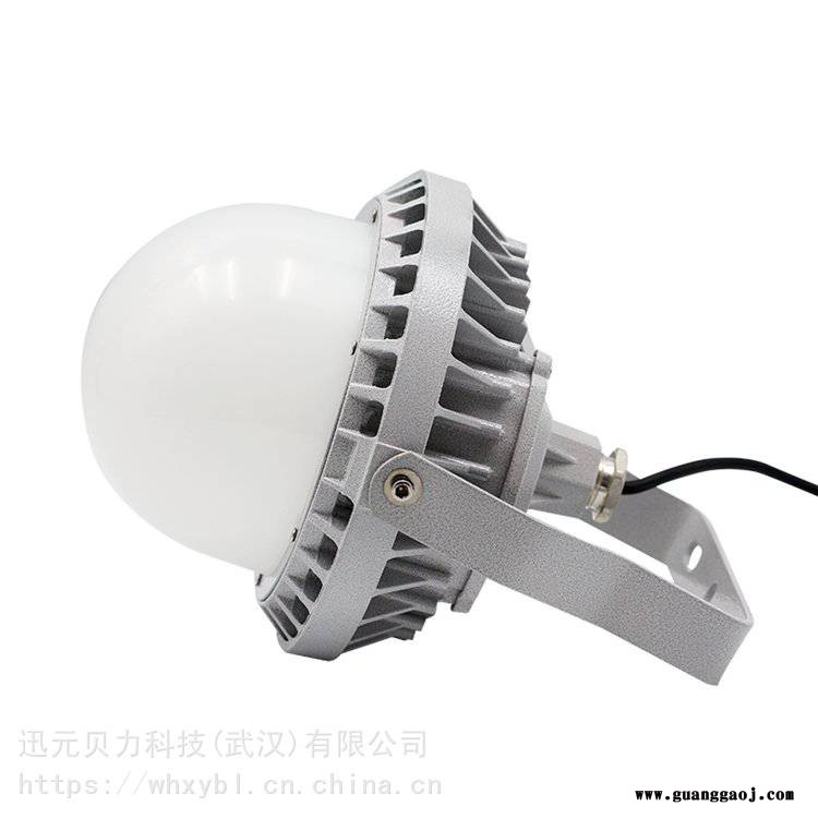 NFC9186-80W防水LED泛光灯图2