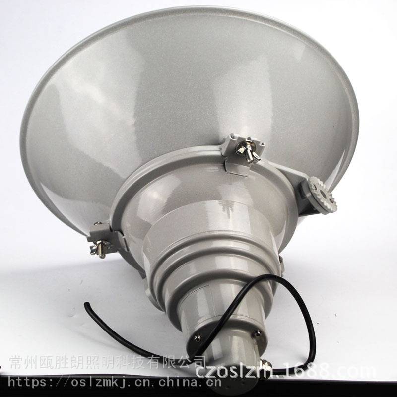 NTC9210防震型投光灯250W船舶码头外场钠灯行车灯NTC9210N400图3